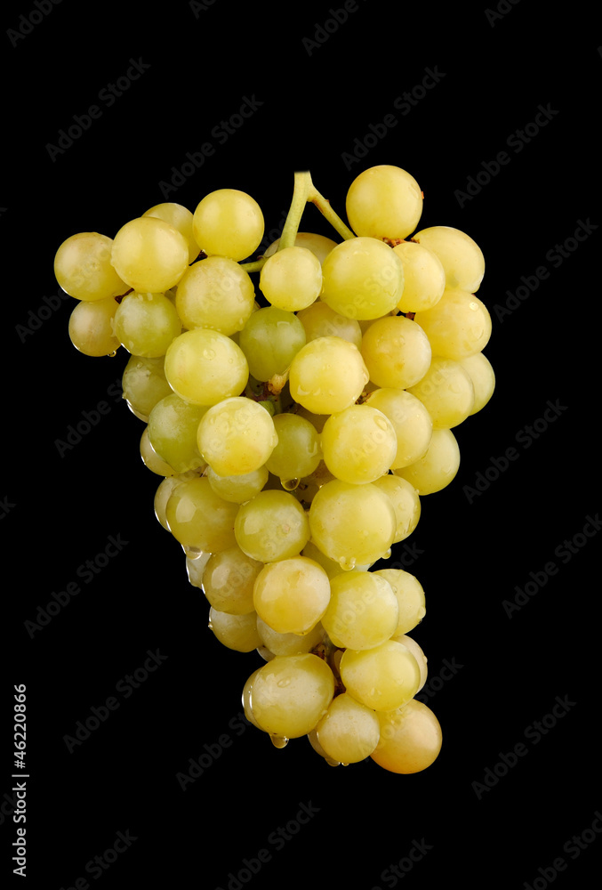 Fresh green grapes