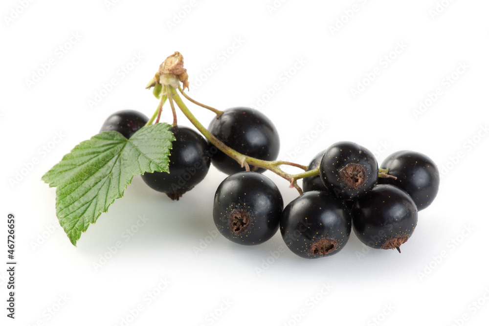 Black currants