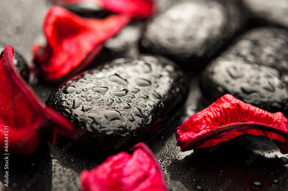 background spa. black stones and red petals with water droplets