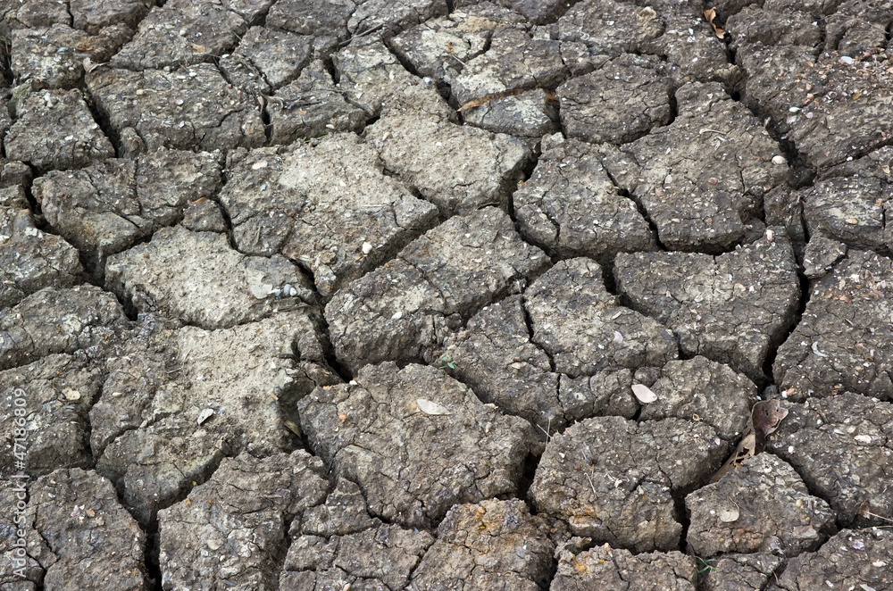 Black crack ground texture