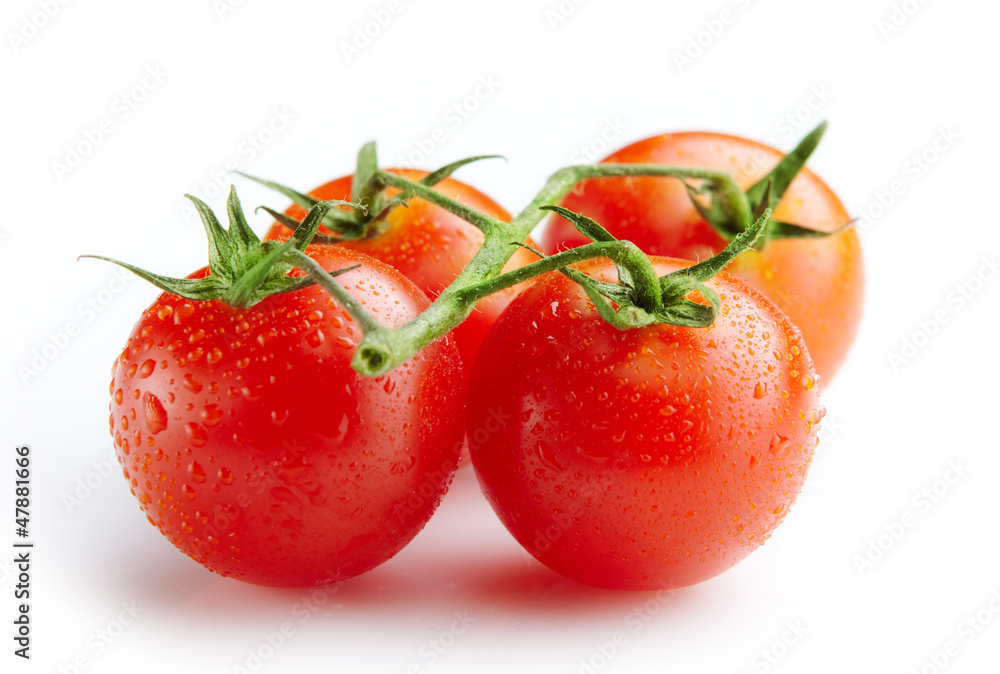 fresh tomatoes