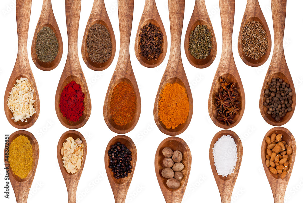 Concept with spices on wooden spoons on white background