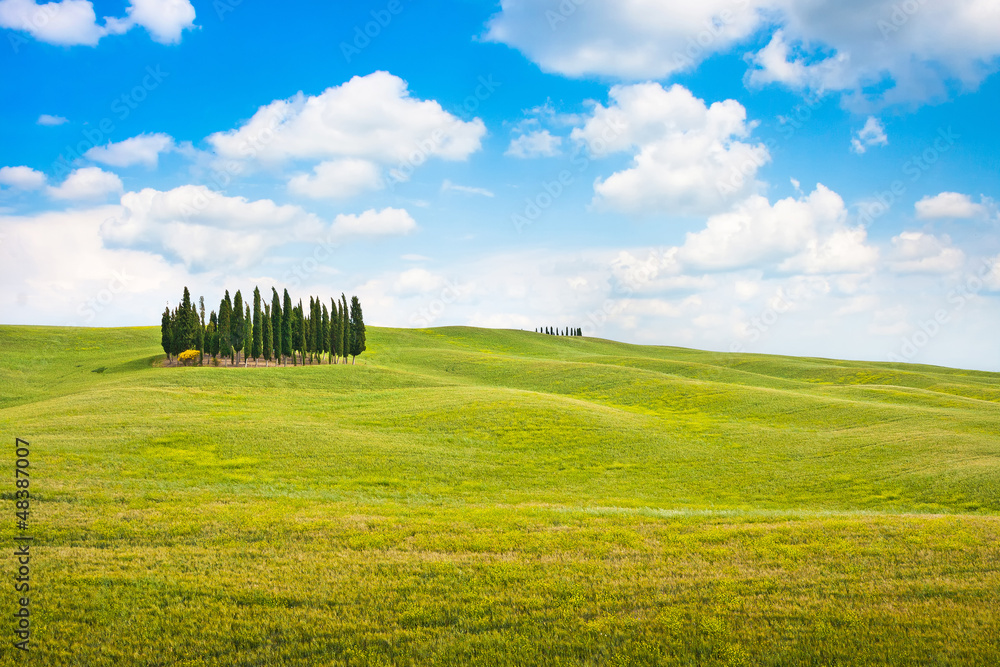 Beautiful landscape in Tuscany, Italy