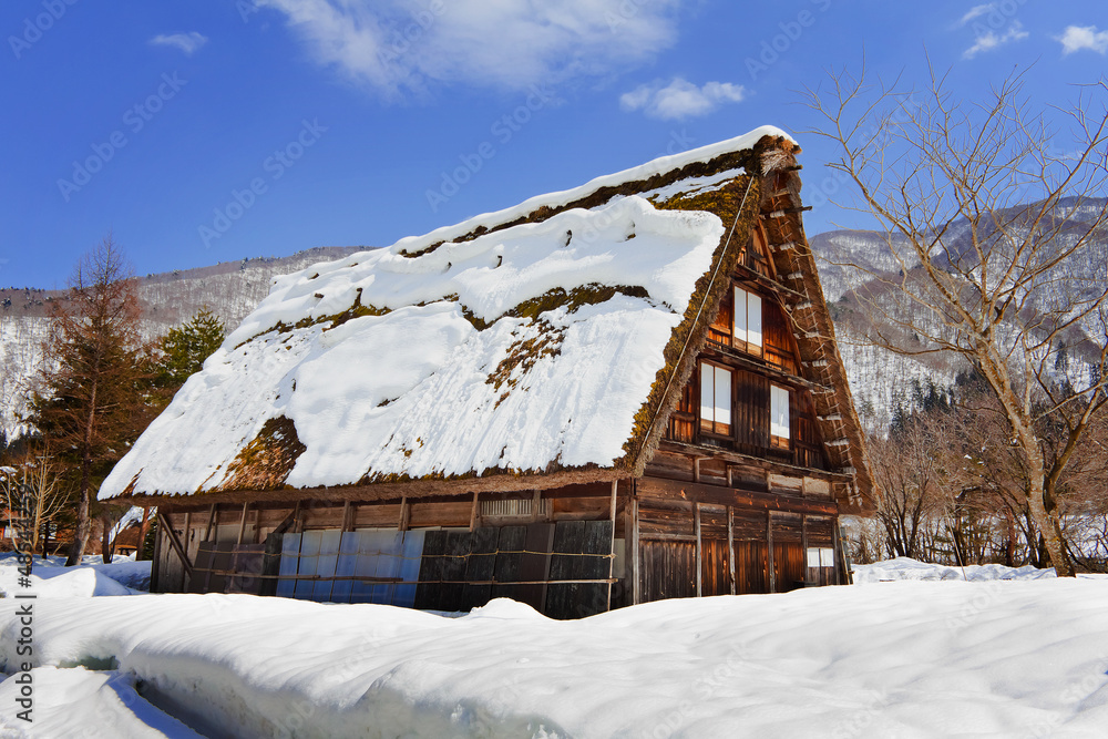 白川村Ogimachi村的小屋