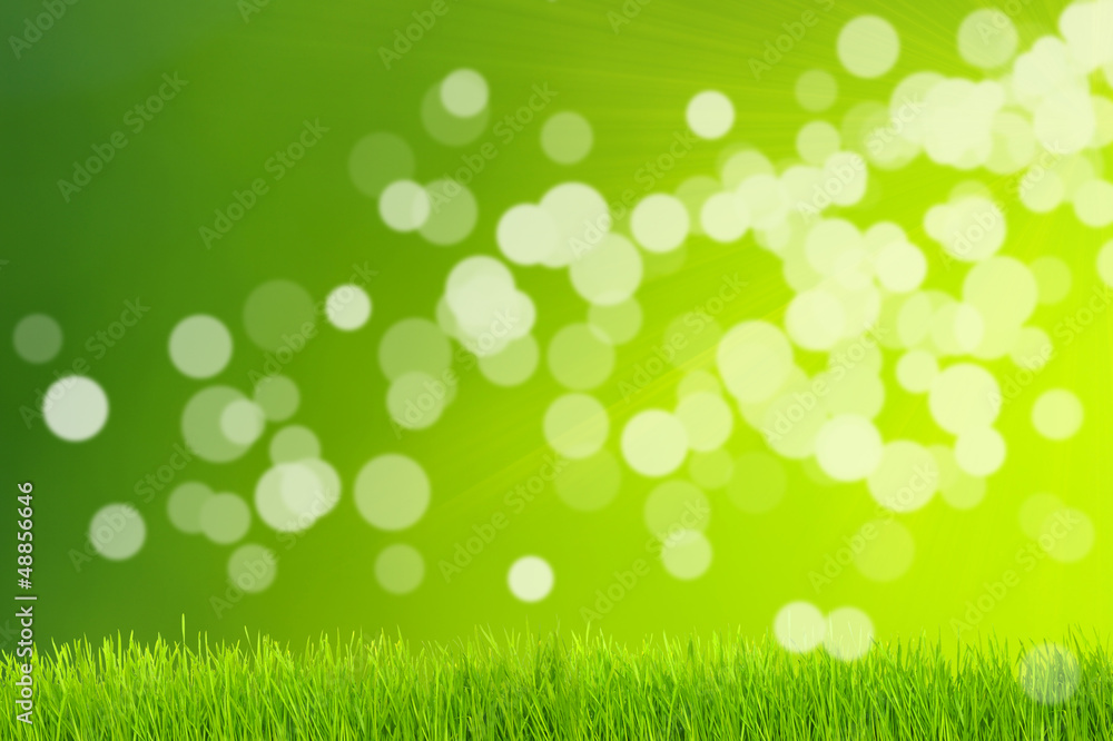 grass and green background