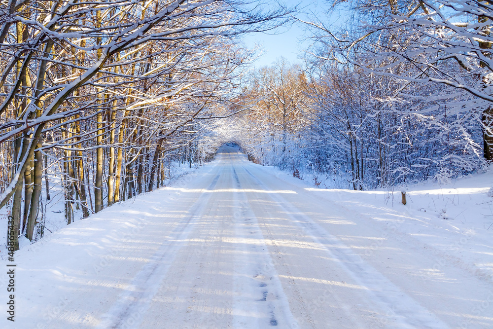 波兰冬季森林中的雪路