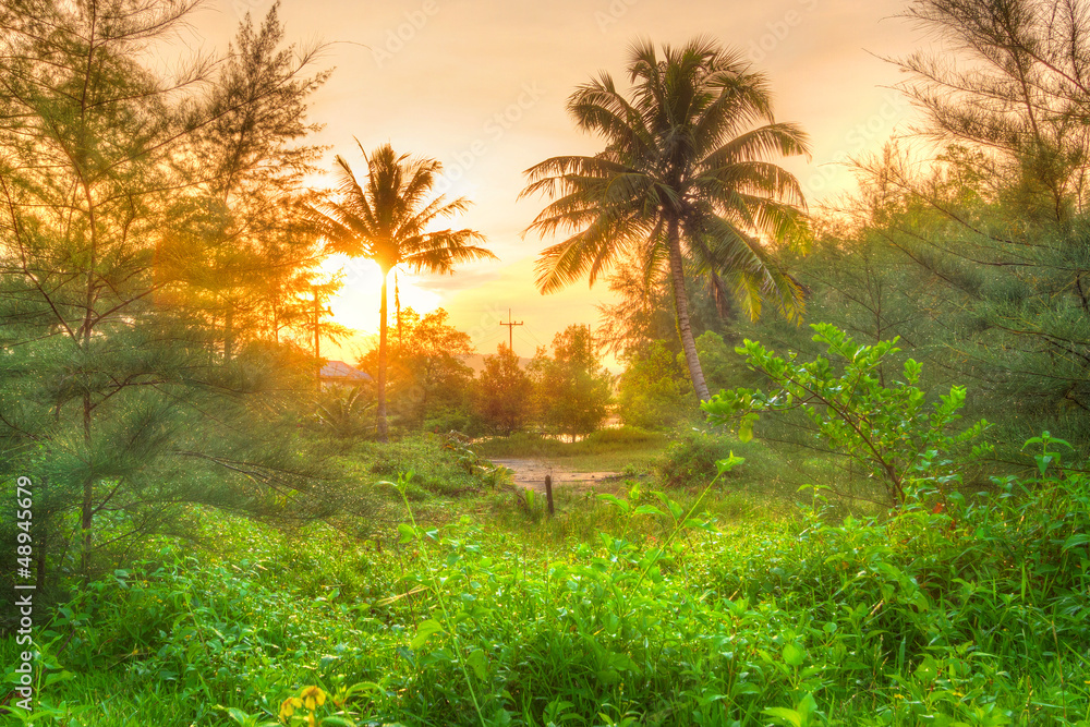 Amazing sunrise in the jungle of Koh Kho Khao, Thailand