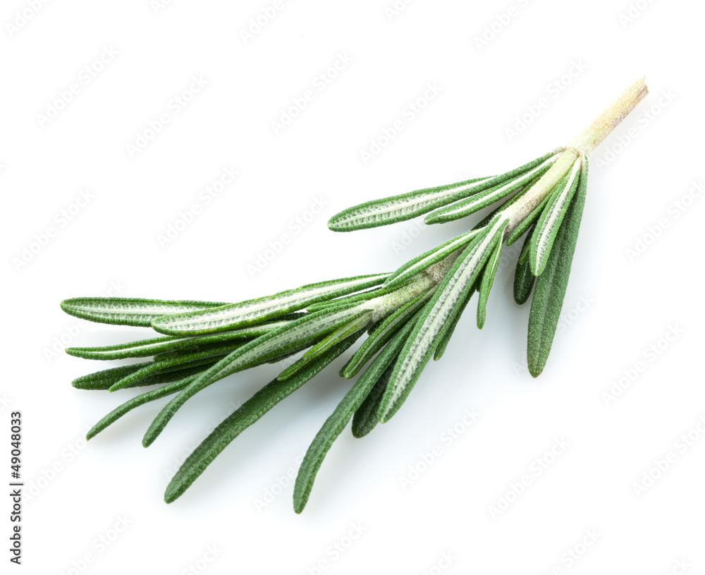 rosemary