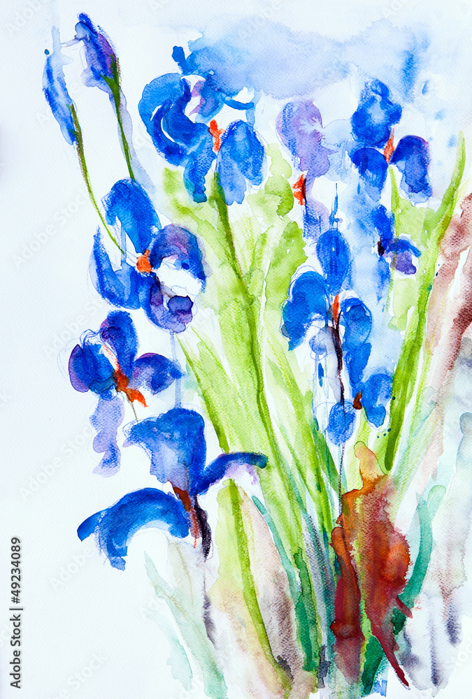 Aquarell: Wiesenblumen