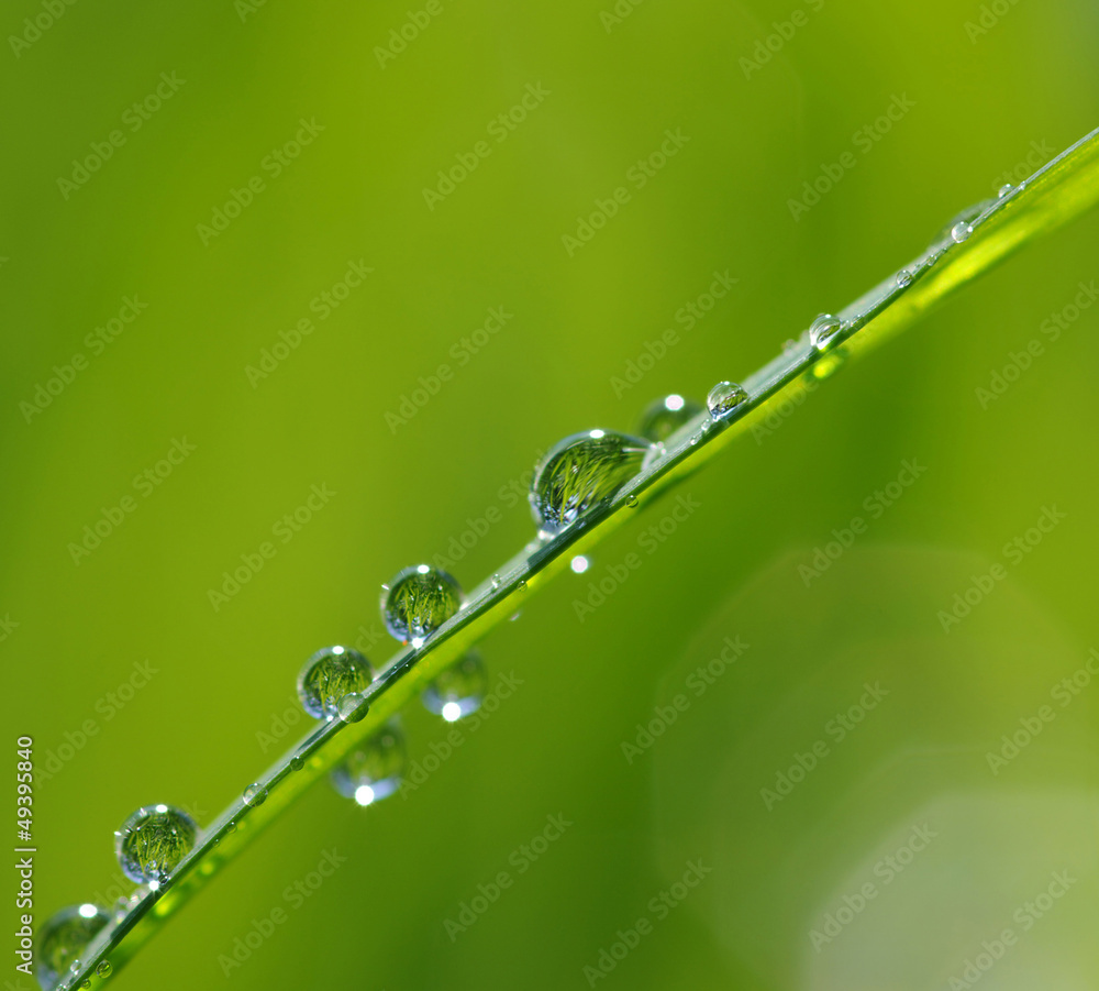 water drops