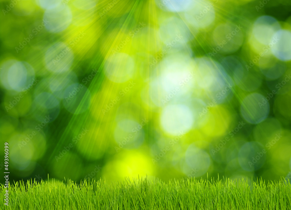 grass and green background