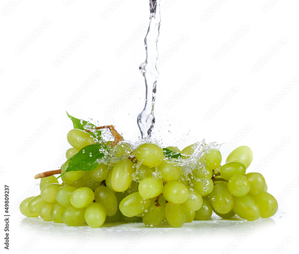 Grapes of white wine with water spalsh on white background