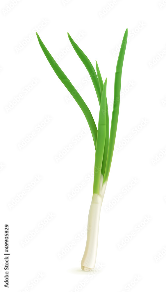 Green onion