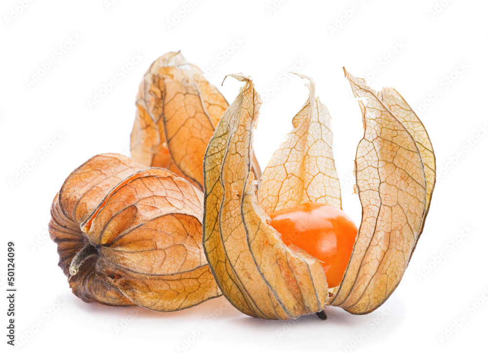 成熟的Physalis