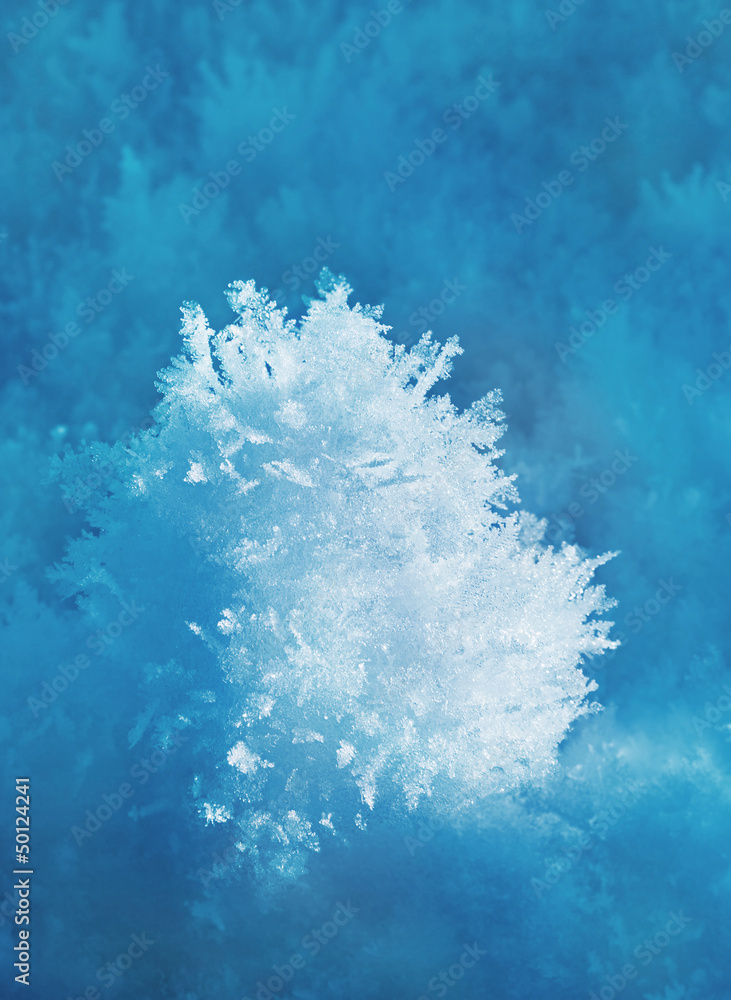 White frost background