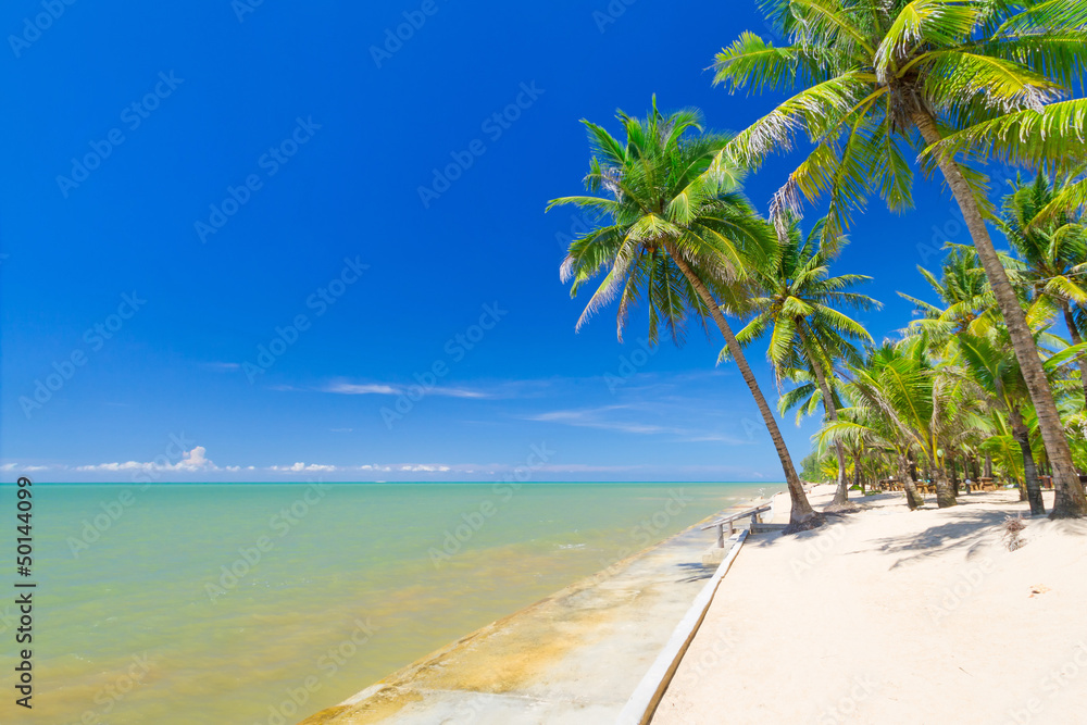 Beautiful tropical beach with coconut palm tree in Thailand