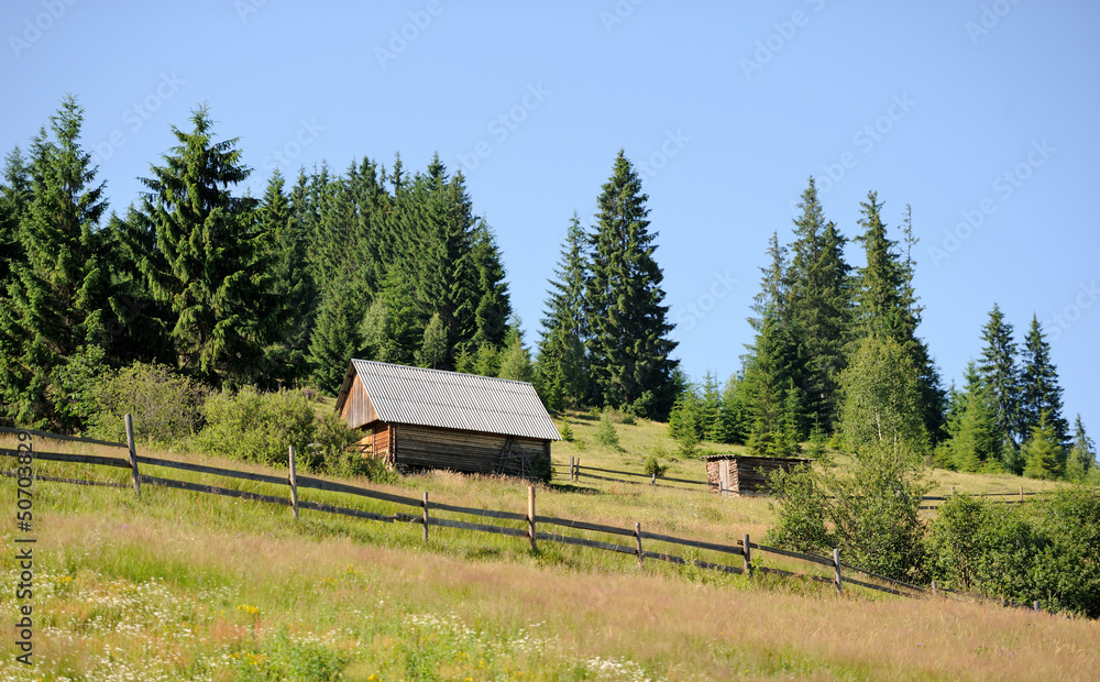 An old house in forest