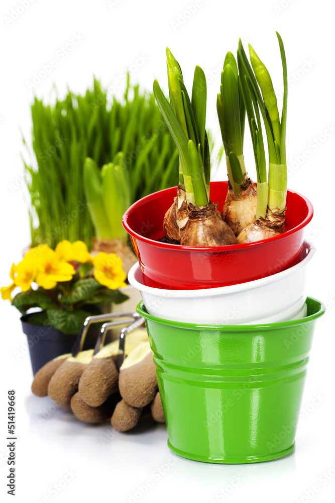 Spring flowers and garden tools