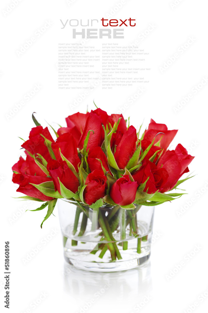 Beautiful red roses