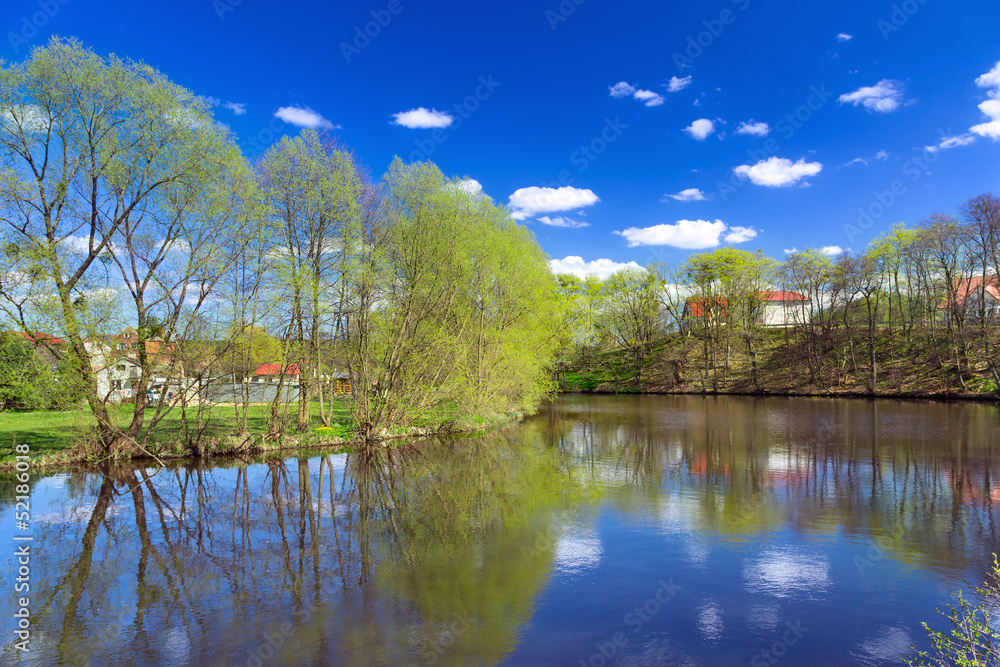 Idyllic summer scenery of at the river, Poland