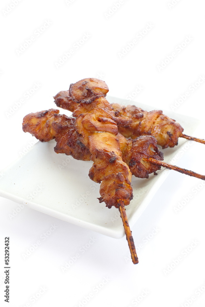 Delicious Asian Cuisine Chicken Satay