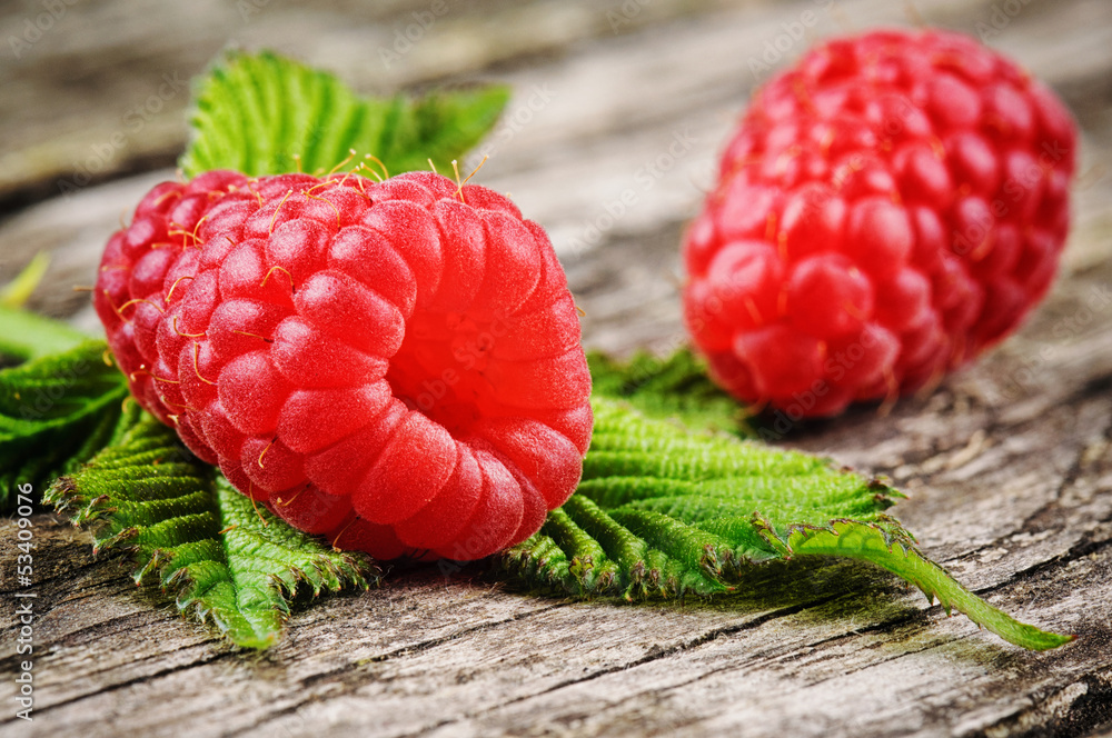 Fresh organic raspberry