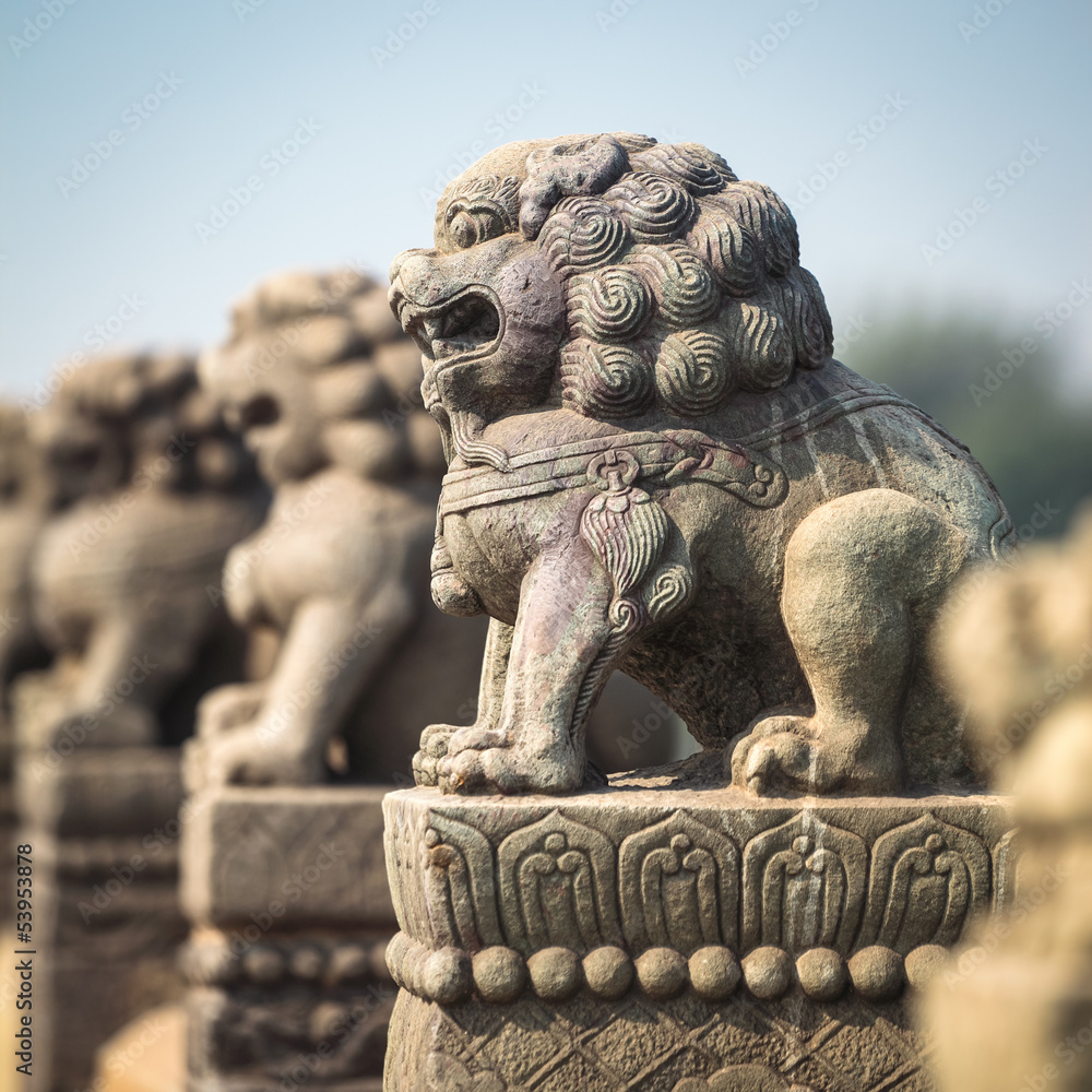 古代石狮特写