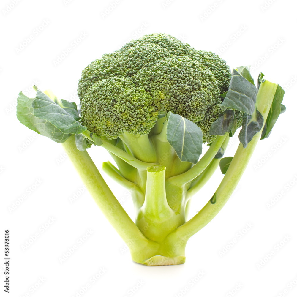 Fresh broccoli in closeup