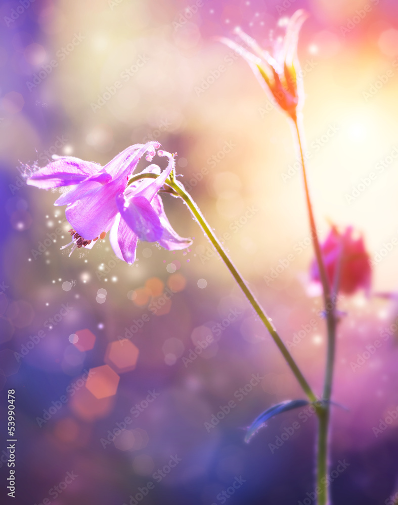 Flowers. Floral Abstract Purple Design. Soft Focus