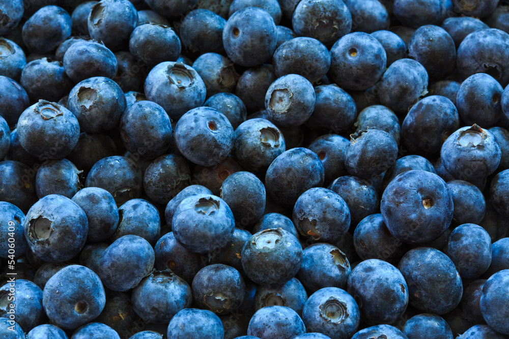 blueberries background