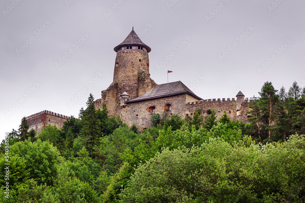 Gothic castle Stara Lubovna in Slovakia