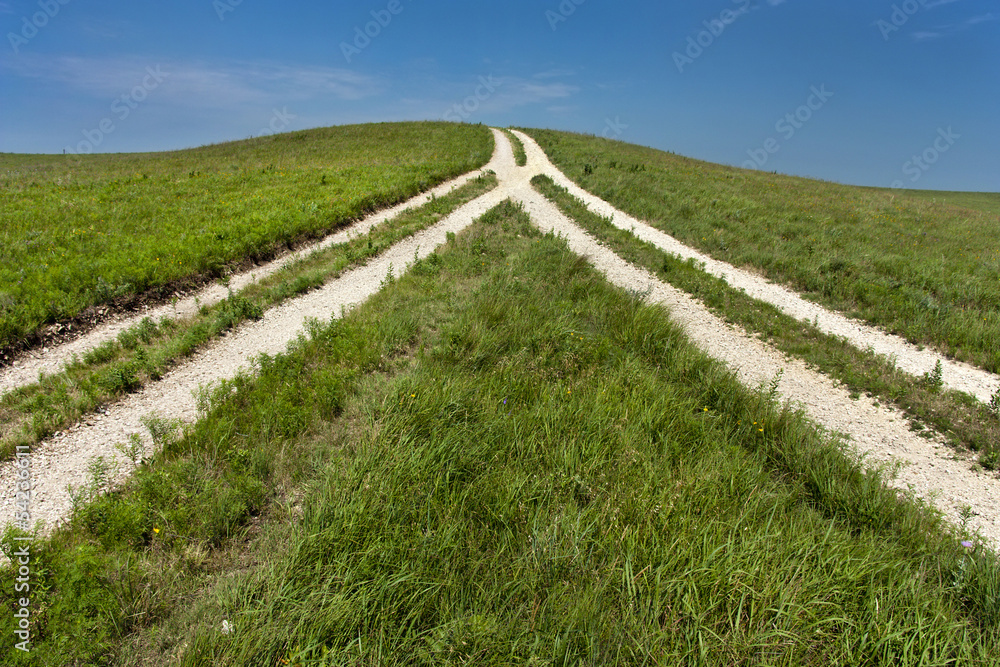 Fork在道路上的反向视图显示正在走到一起