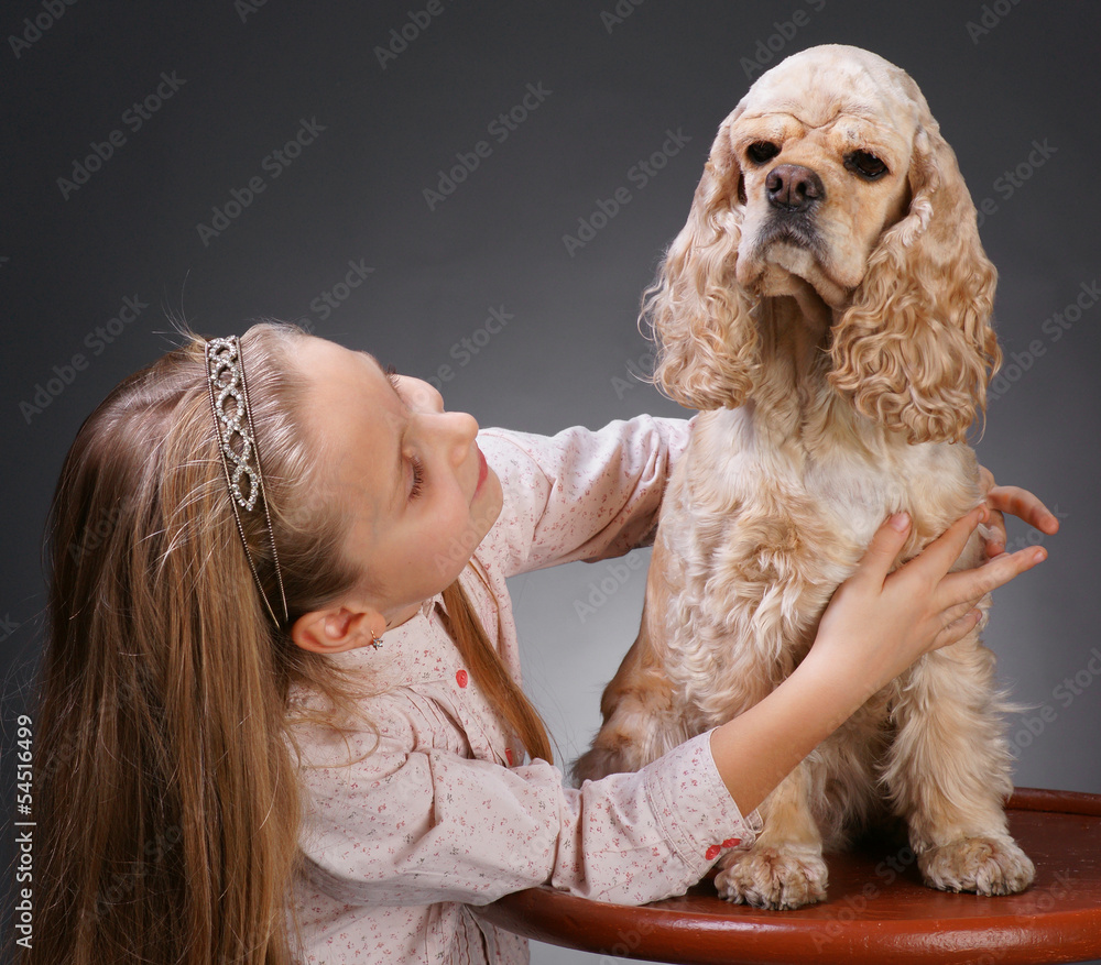 Pretty girl with  american spaniel