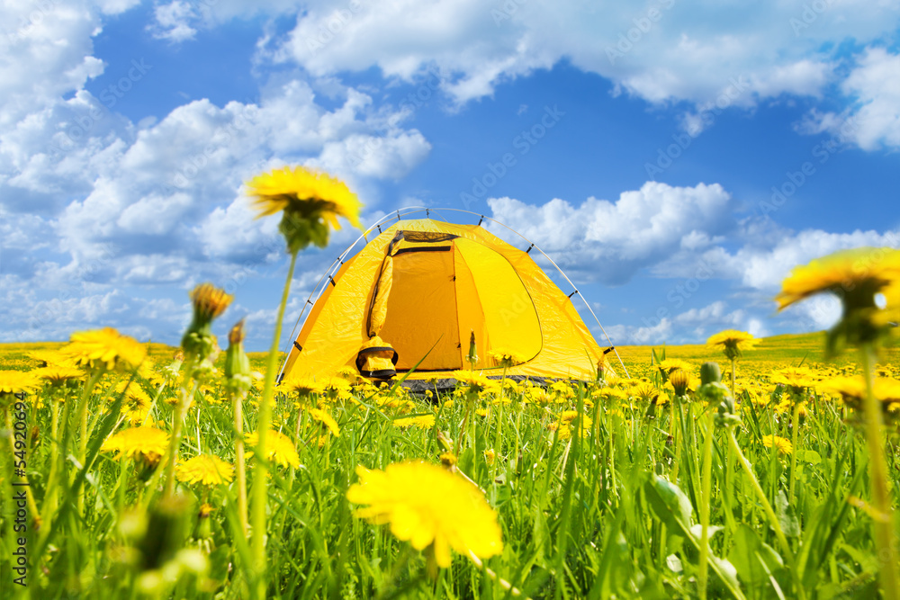 Camping in dandelion tent