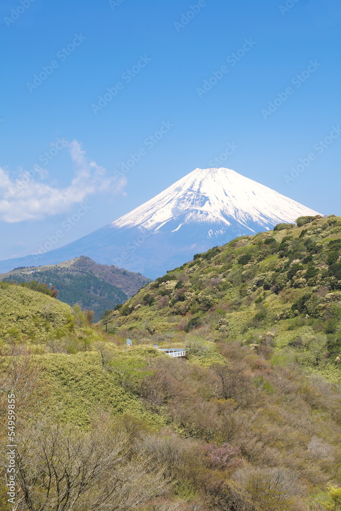 春天的富士山