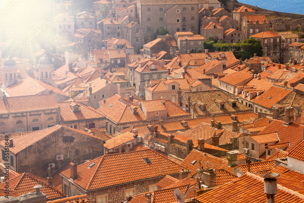 Full frame of tile roofs