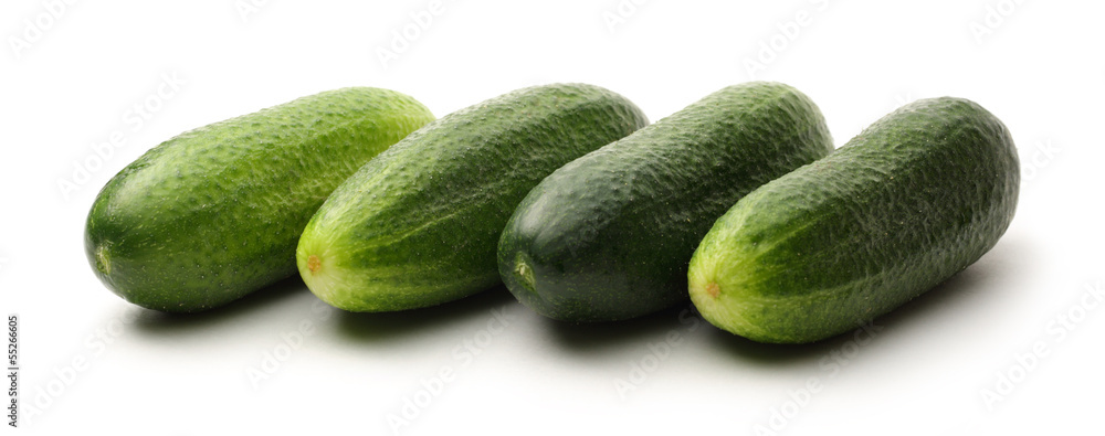 Fresh green cucumbers on white