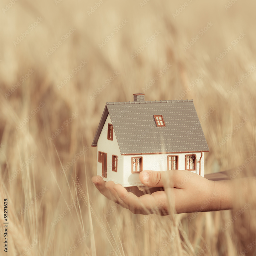 House in children`s hands