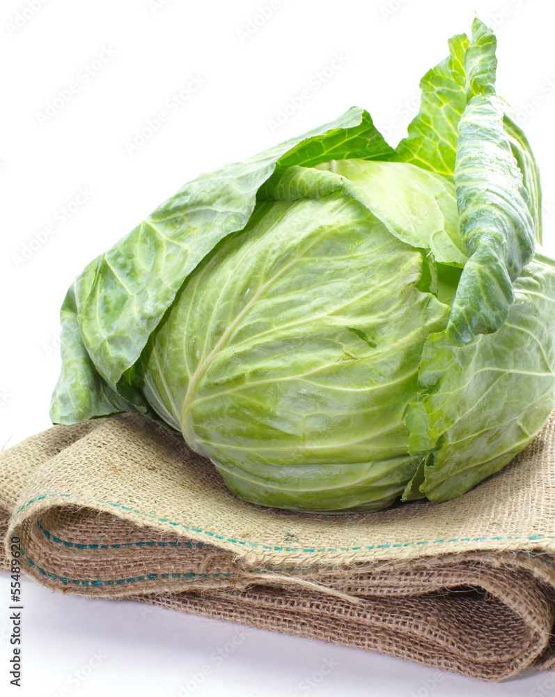 Cabbage isolated on white