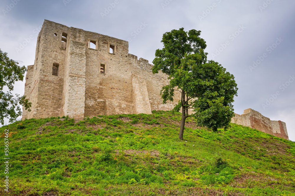 波兰维斯瓦河Kazimierz Dolny城堡遗址