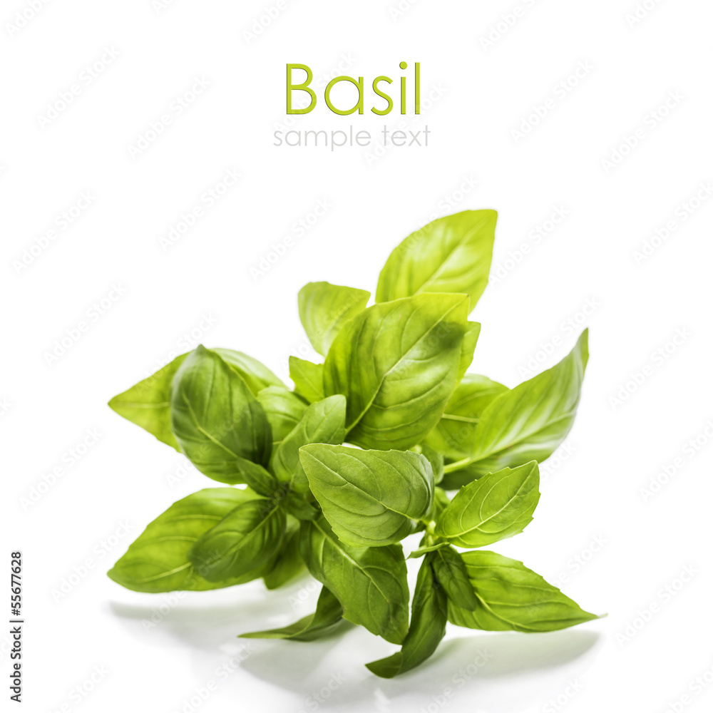 basil leaves