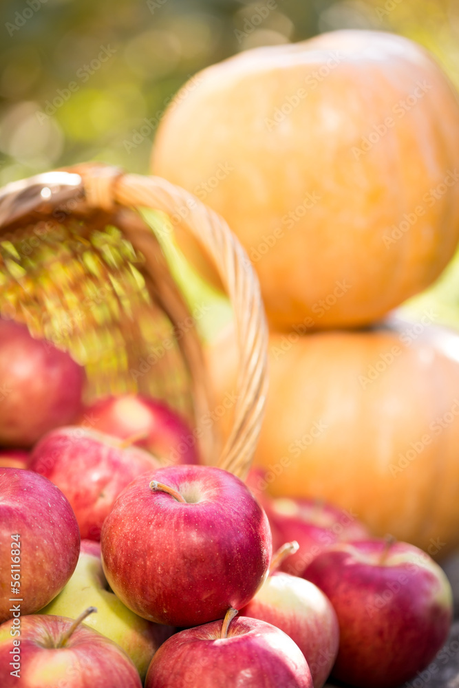 Fruits and vegetables in autumn