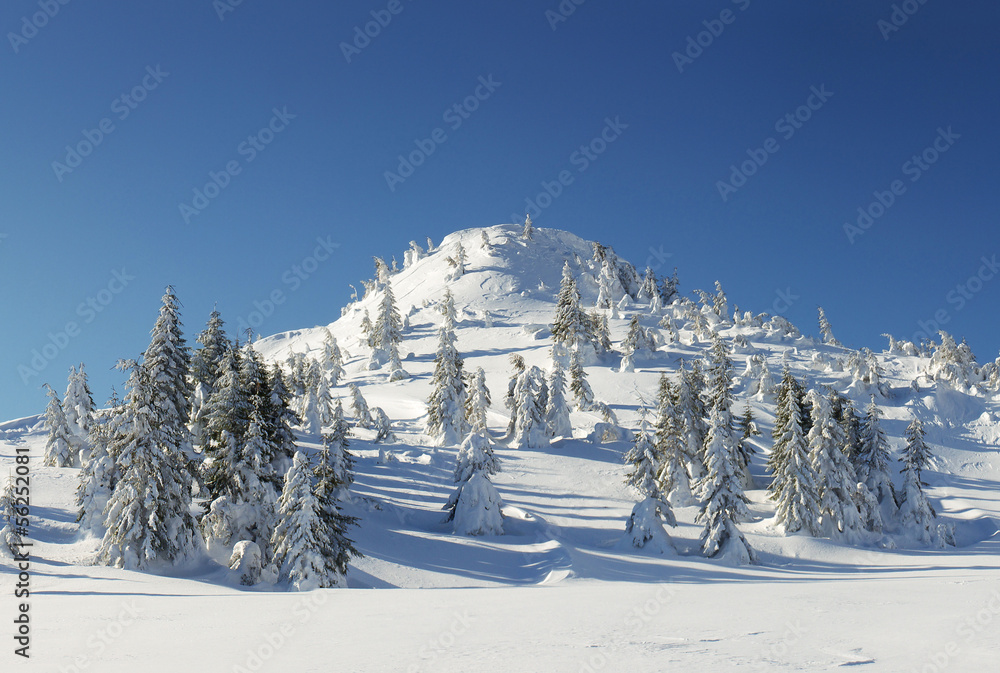 冬天的山脉和森林。美丽的风景