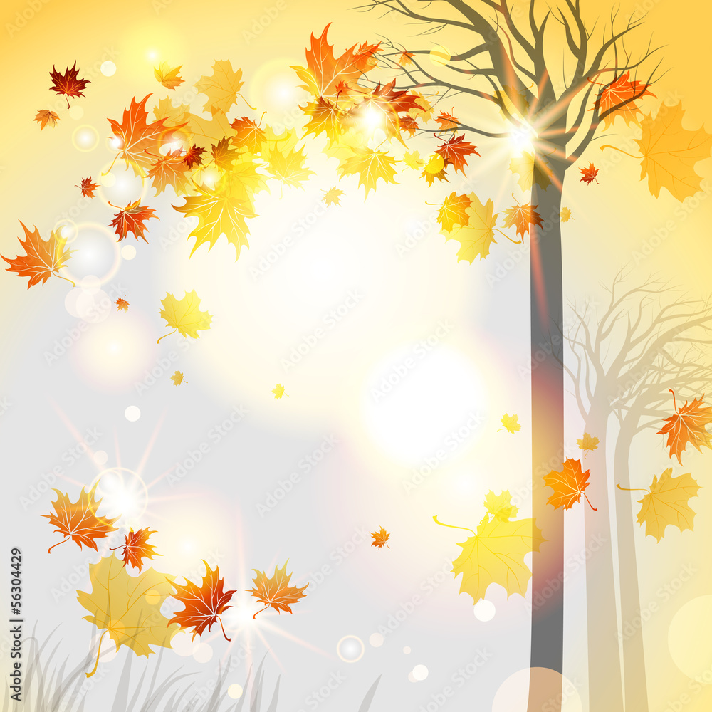 Autumnal background