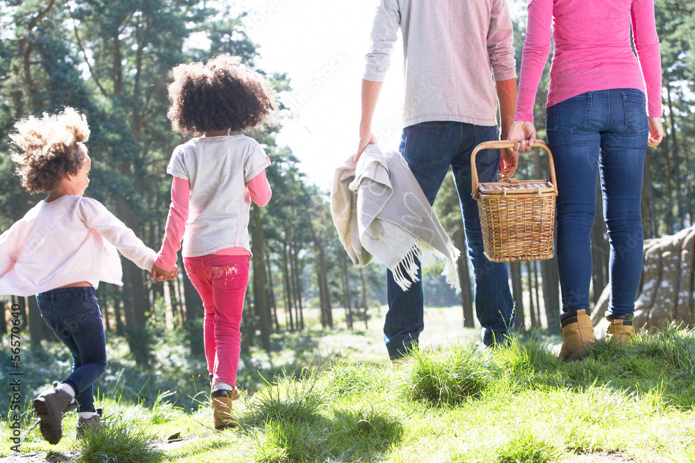 Family Having Picnic In Countryside