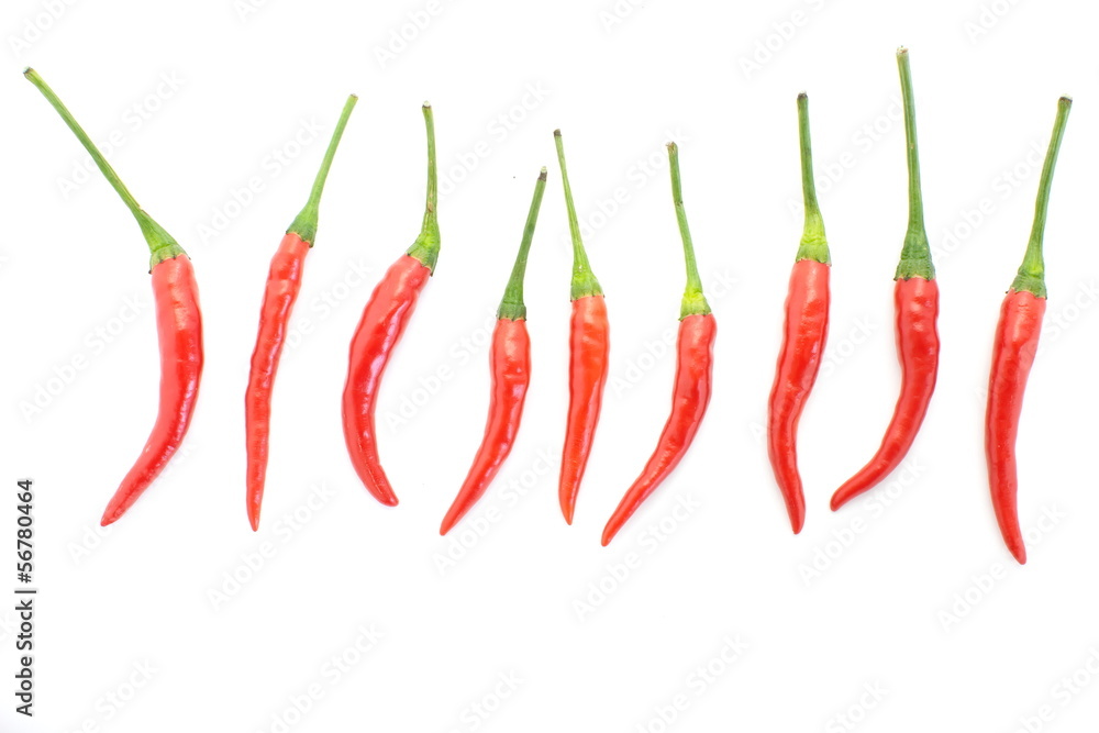 group of red chilies on white background