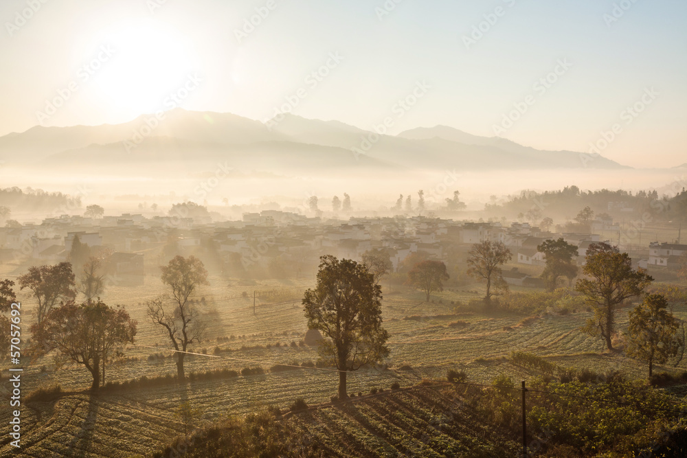 landscape of nature