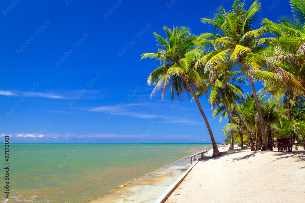 Beautiful tropical beach with coconut palm tree in Thailand