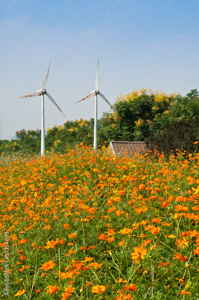 The windmill