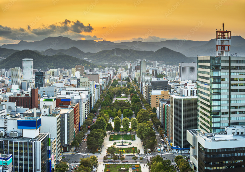 Sapporo, Japan Cityscape